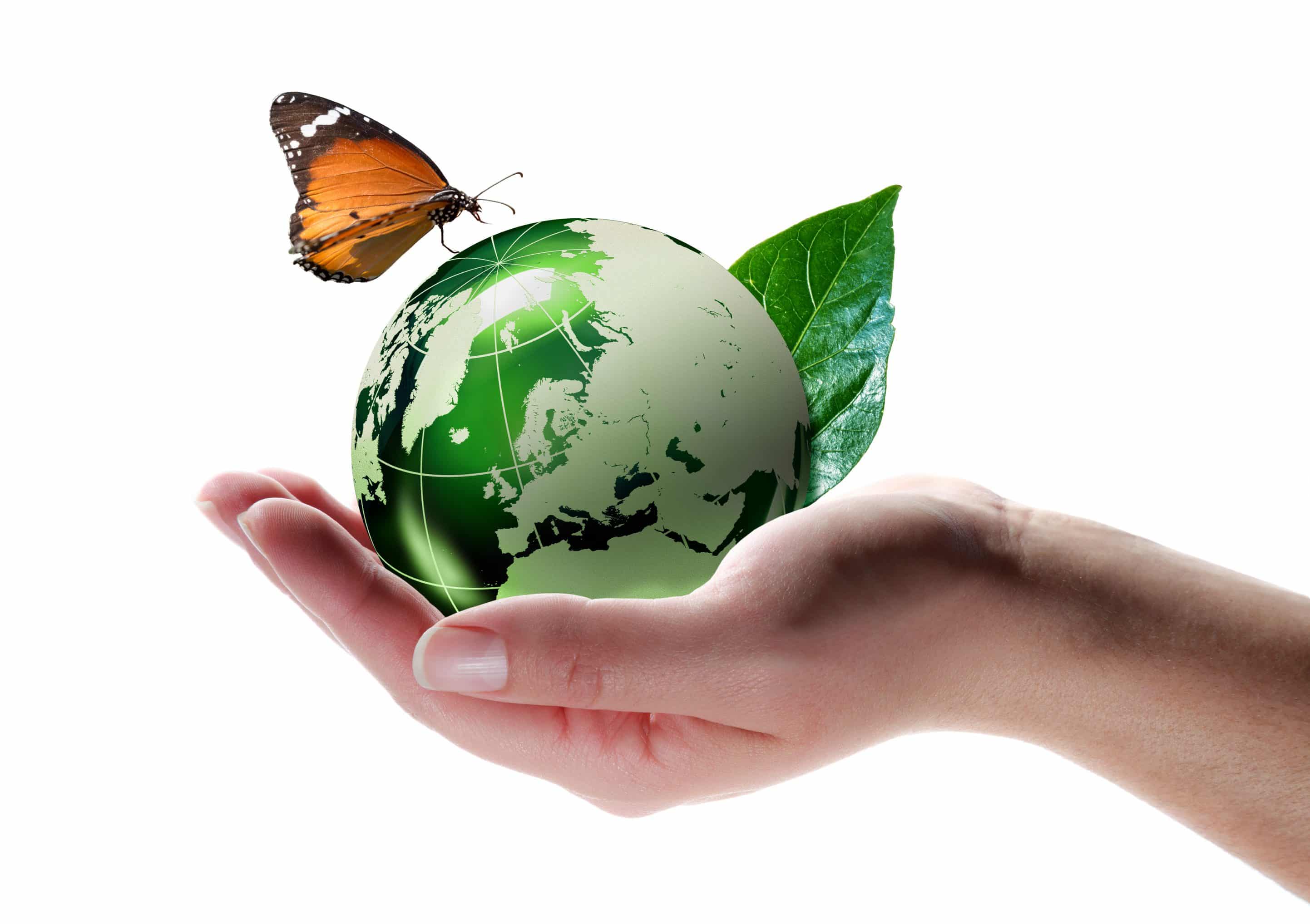 Butterfly and globe representing eco-friendly practices