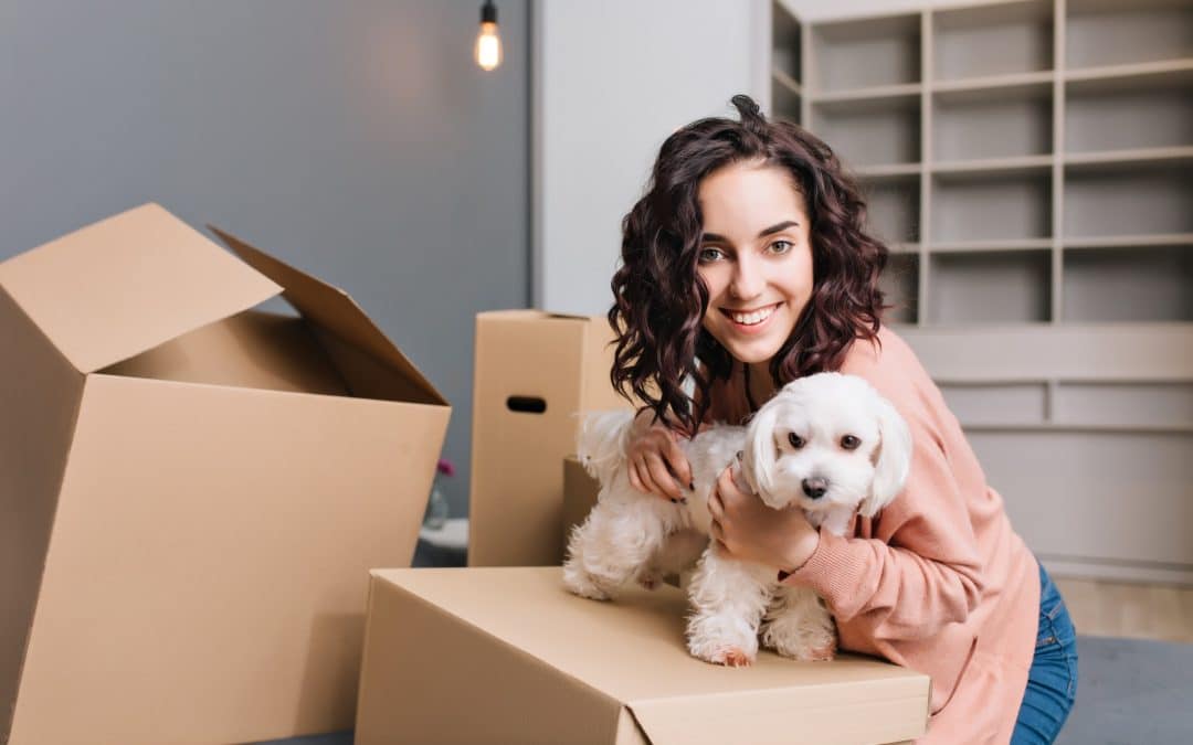 Moving with Pets in BS41: A Stress-Free Guide